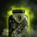 Real King Dragon Gainz Mass Gainer 2.7kg